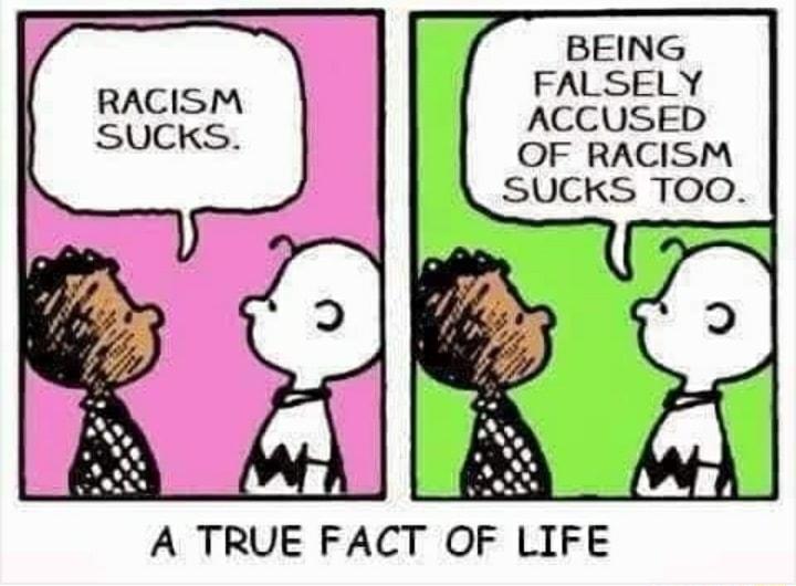 BEING FALSELY ACCUSED OF RACISM SUCKS TOO A TRUE FACT OF LIFE