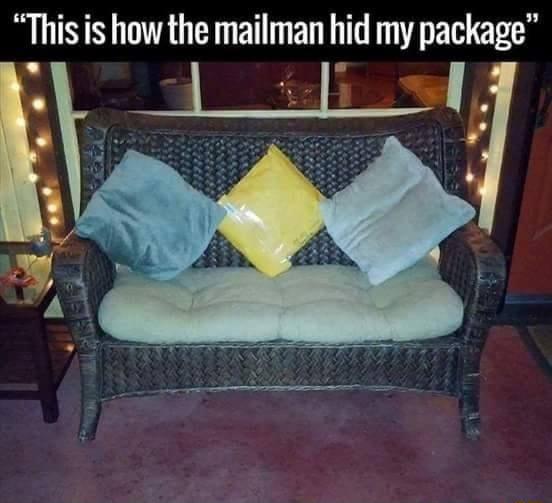 This is how the mailman hid my package