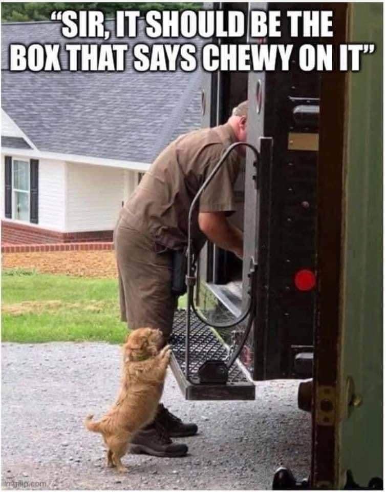 SIRITSHOULD BE THE BOXTHATSAYSCHEWY ON IT
