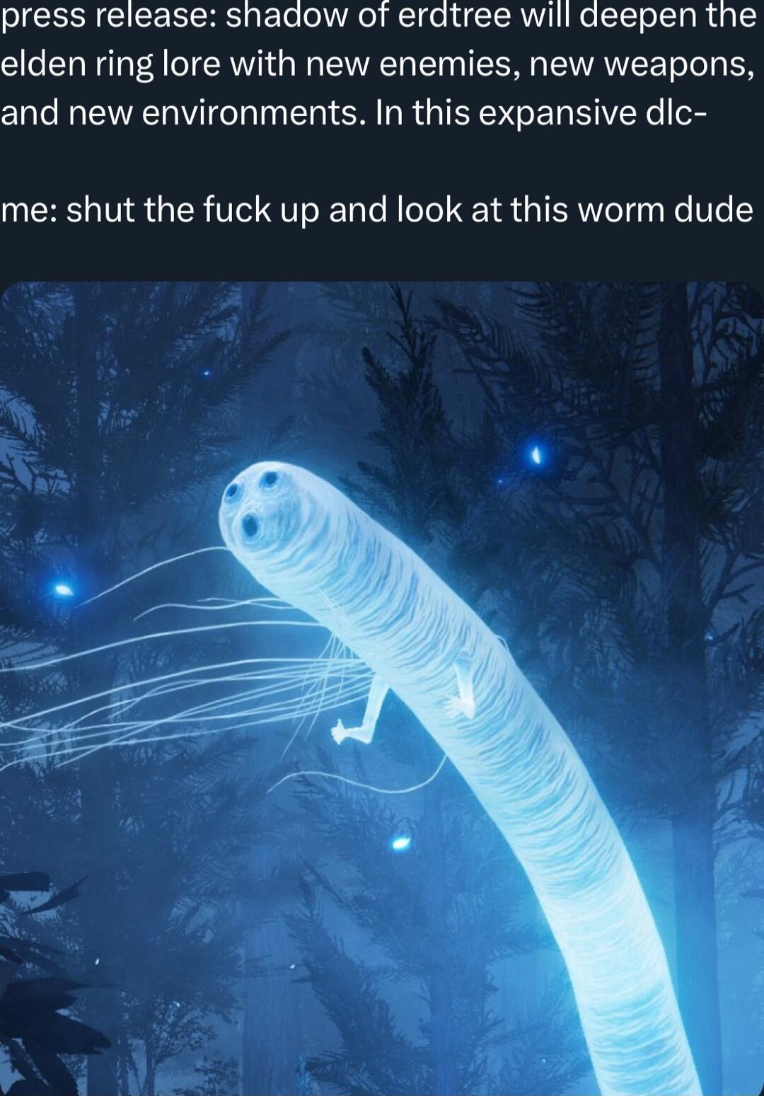 SRR CE RS ETe ool R de TR UT e T To Slg R g elden ring lore with new enemies new weapons and new environments In this expansive dic me shut the fuck up and look at this worm dude