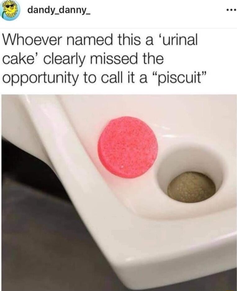 dandy_danny_ Whoever named this a urinal cake clearly missed the opportunity to call it a piscuit
