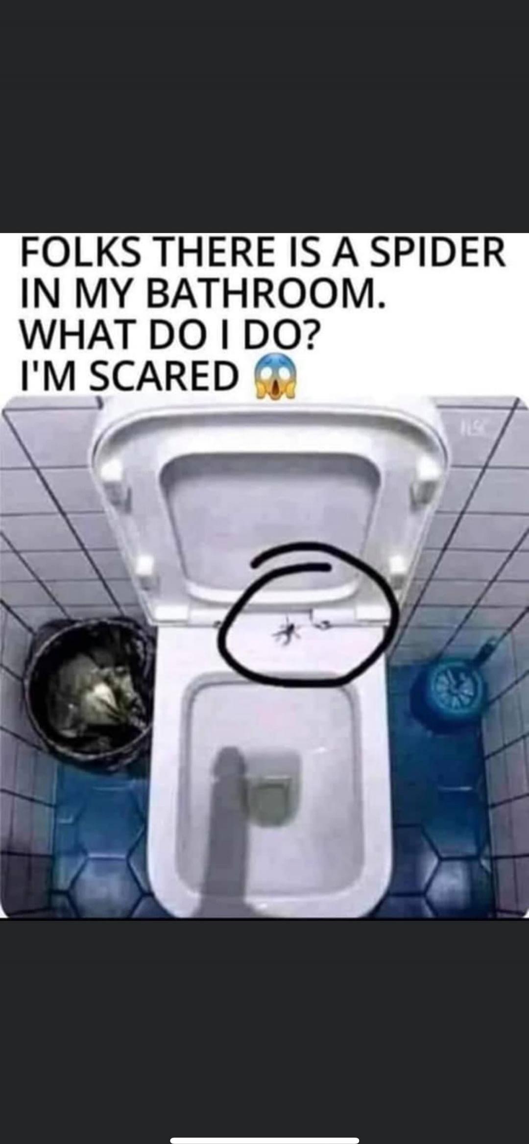 FOLKS THERE IS A SPIDER IN MY BATHROOM. WHAT DO I DO? I'M SCARED