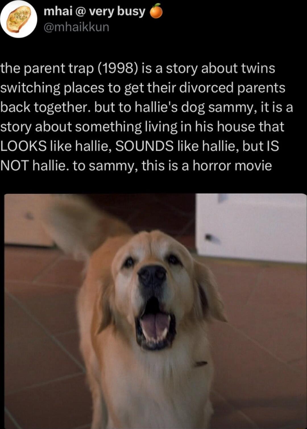 EHCR S ClRLETRRIG the parent trap 1998 is a story about twins switching places to get their divorced parents back together but to hallies dog sammy itis a story about something living in his house that Kol I EY EIERSOIVN I EIERGINI Y NOT hallie to sammy this is a horror movie