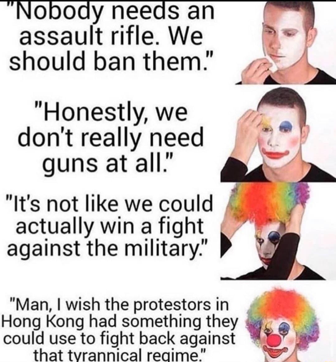 Nobody needs an assault rifle We should ban them Honestly we dont really need guns at all Its not like we could actually win a fight against the military Man wish the protestors in Hong Kong had something they could use to fight back agalnst v N that tvrannical reaime