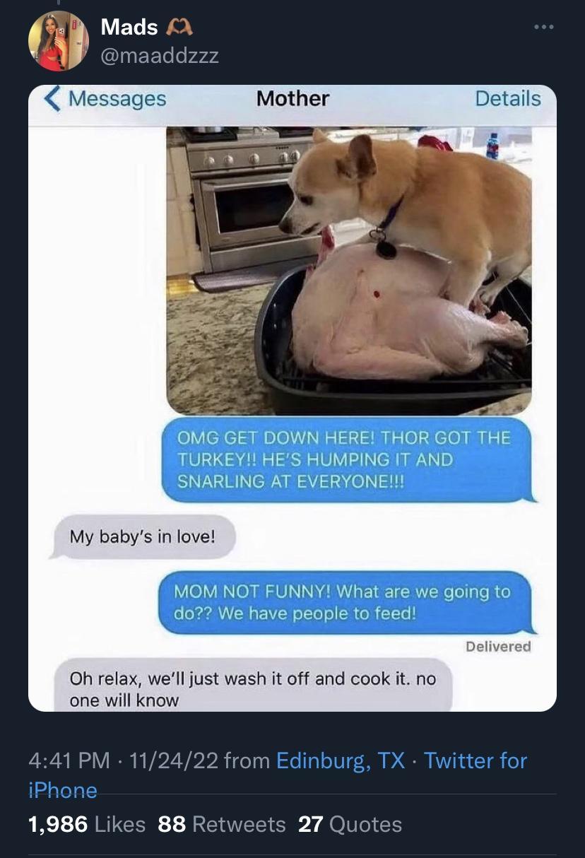 OMG GET DOWN HERE THOR GOT THE TURKEY1 HES HUMPING IT AND SNARLING AT EVERYONEL My babys in love MOM NOT FUNNY What are we going tc opl Oh relax well just wash it off and cook it one will know