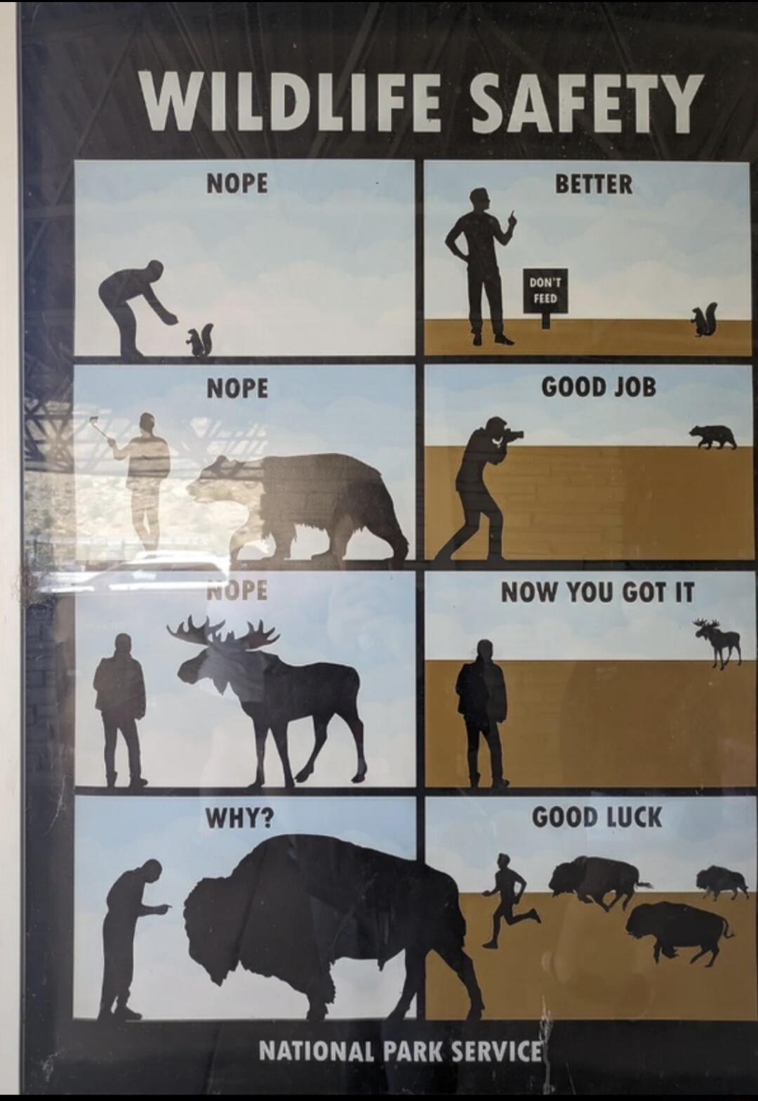 WILDLIFE SAFETY Q GOOoD JoB 5 NOW YOU GOT IT L NATIONAL PARK SERVICE