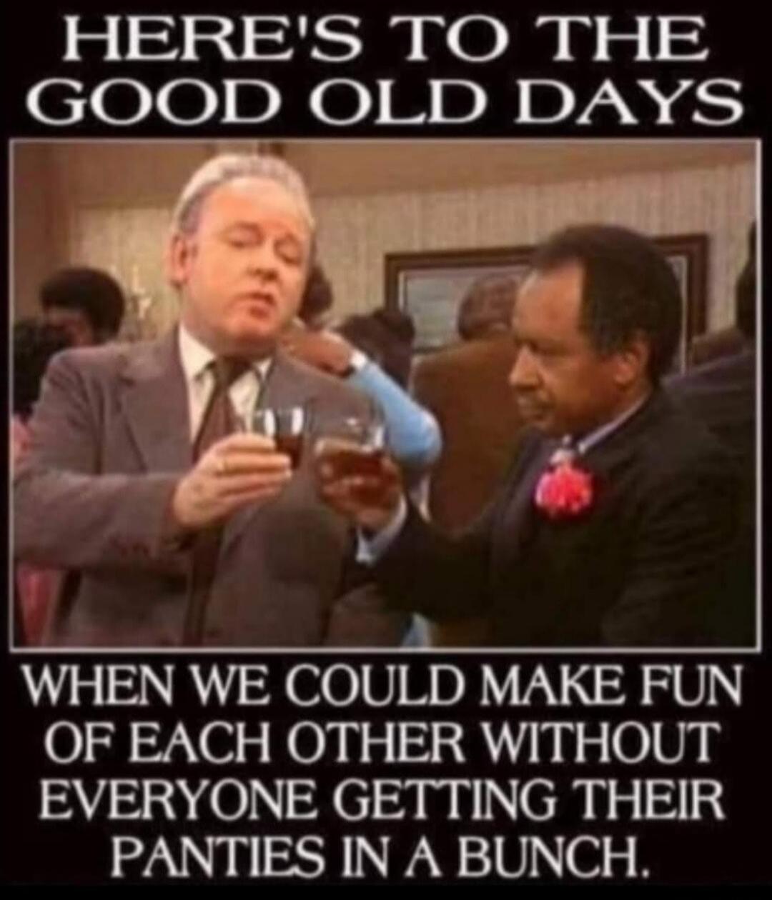 HERE'S TO THE GOOD OLD DAYS WHEN WE COULD MAKE FUN OF EACH OTHER WITHOUT EVERYONE GETTING THEIR PANTIES IN A BUNCH.