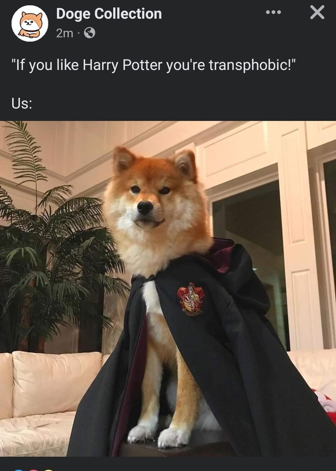 Doge Collection LU 4 m Q I you like Harry Potter youre transphobic