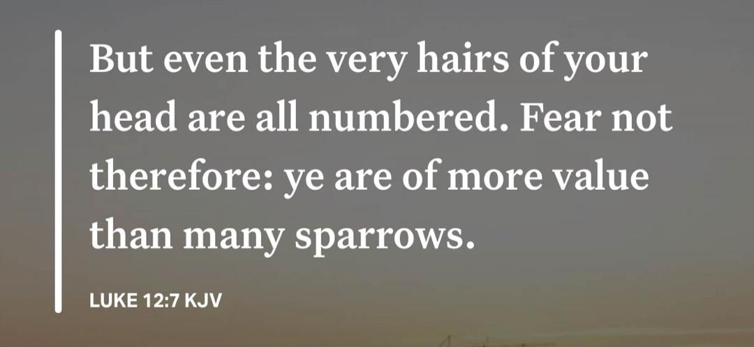 But even the very hairs of your head are all numbered. Fear not therefore: ye are of more value than many sparrows. LUKE 12:7 KJV