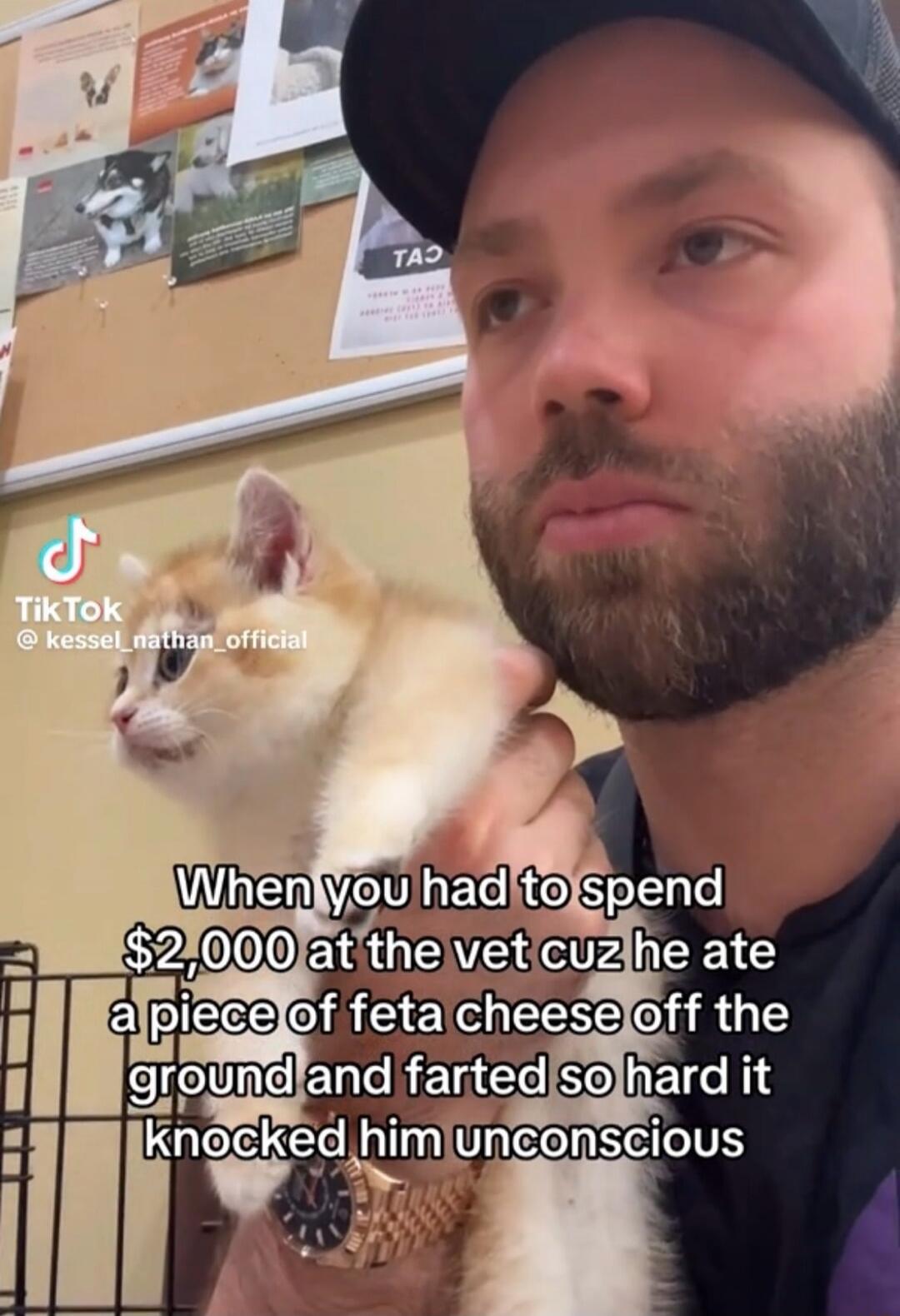 When you had to spend $2,000 at the vet cuz he ate a piece of feta cheese off the ground and farted so hard it knocked him unconscious