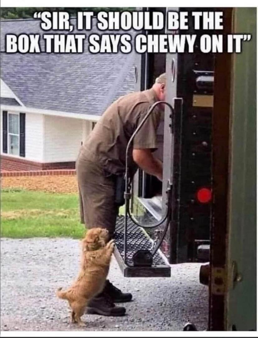 SIR, IT SHOULD BE THE BOX THAT SAYS CHEWY ON IT