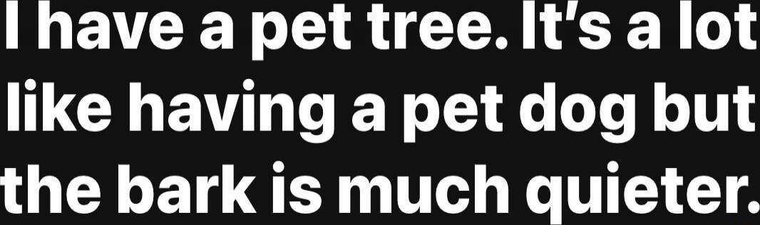 I have a pet tree. It’s a lot like having a pet dog but the bark is much quieter.