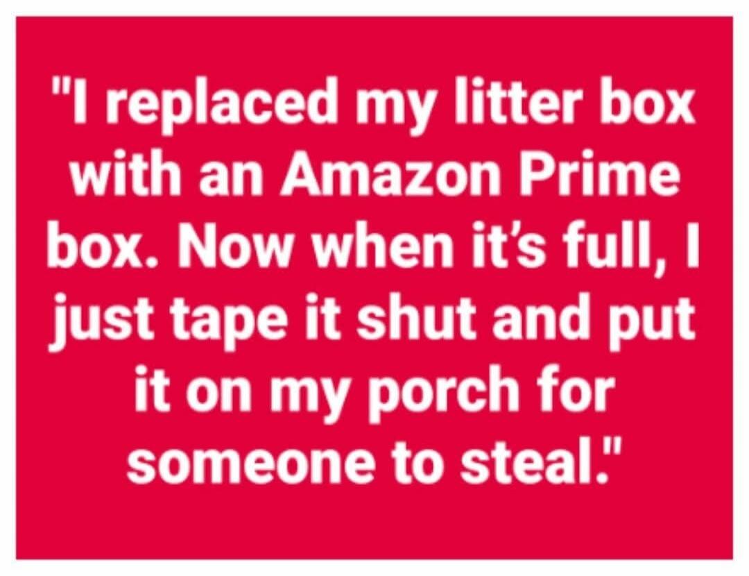 I replaced my litter box with an Amazon Prime box. Now when it's full, I just tape it shut and put it on my porch for someone to steal.