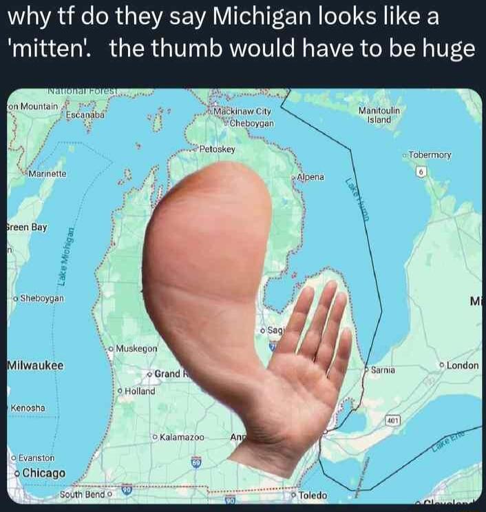 why tf do they say Michigan looks like a mitten the thumb would have to be huge oChicago