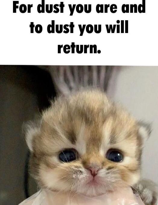 For dust you are and to dust you will return