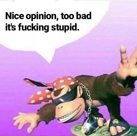 too bad its fucking stupid Nice opinion