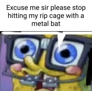 Excuse me sir please stop hitting my rip cage with a metal bat