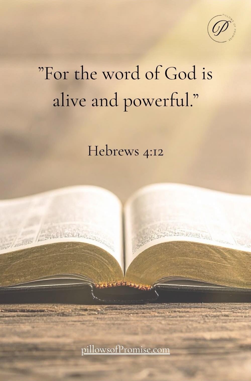 For the word of God is alive and powerful. Hebrews 4:12. pillowsofPromise.com. Pillows of Promise.