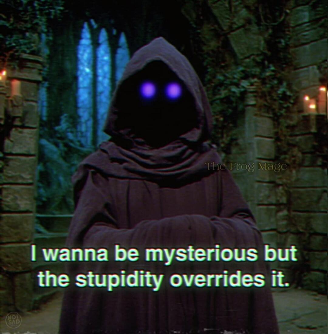 I wanna be mysterious but the stupidity overrides it. The Frog Mage. NOT SAD.