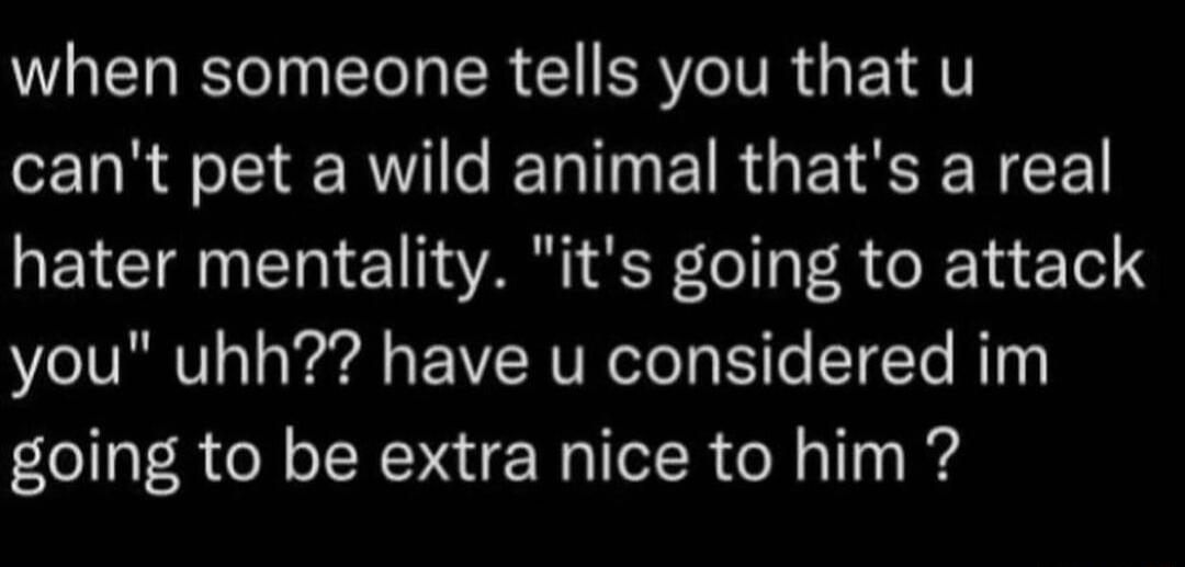 when someone tells you that u cant pet a wild animal thats a real hater mentality its going to attack you uhh have u considered im going to be extra nice to him