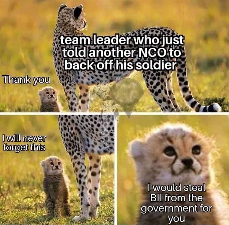 lwould steal Bll fromithe government for you