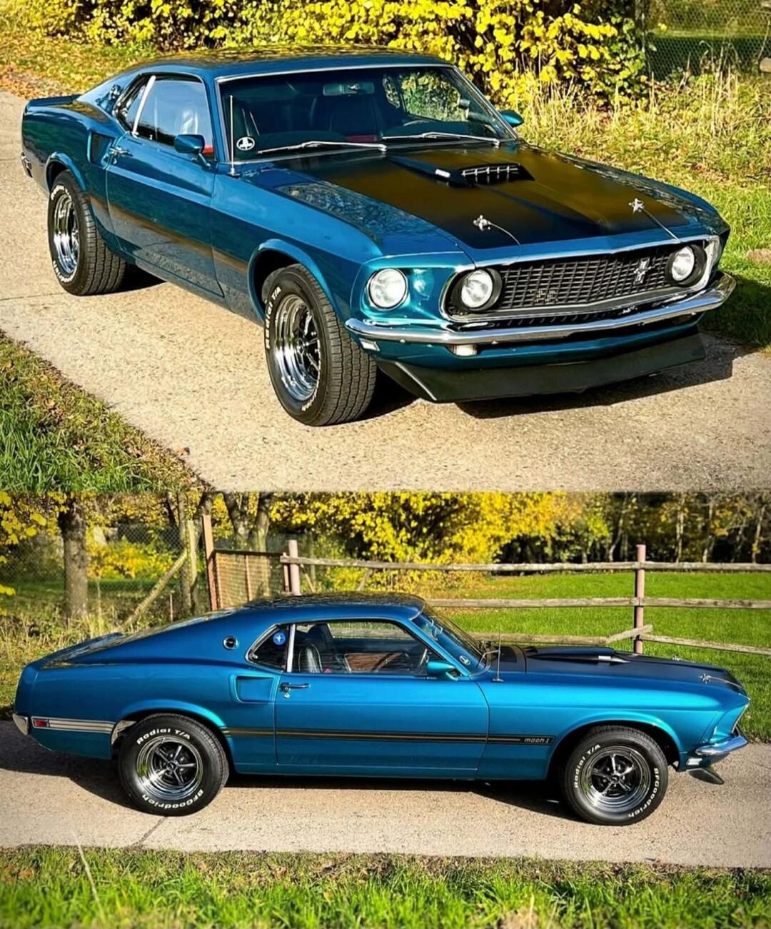 A blue classic muscle car shown from the front and side, parked on a paved path with a grassy background. The car features a black hood scoop, round headlights, and chrome accents.