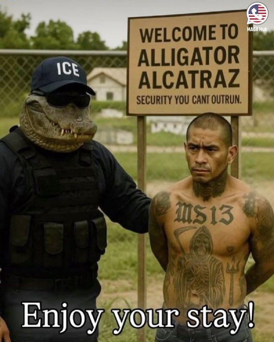 WELCOME TO ALLIGATOR ALCATRAZ SECURITY YOU CANT OUTRUN. ICE. MS13. Enjoy your stay!