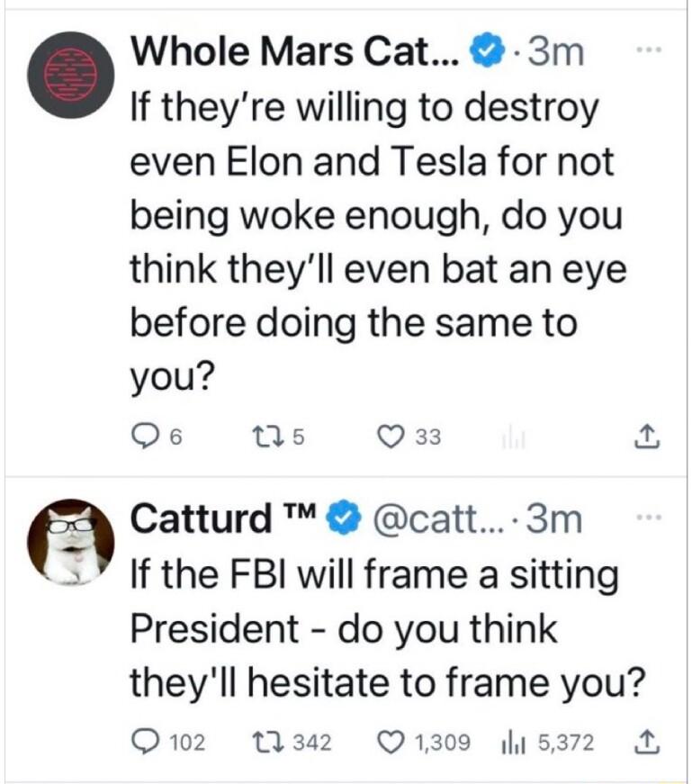 Whole Mars Cat 3m If theyre willing to destroy even Elon and Tesla for not being woke enough do you think theyll even bat an eye before doing the same to you Os 0s Q33 Catturd catt 3m V If the FBI will frame a sitting President do you think theyll hesitate to frame you Q102 1342 Q1309 5372 A