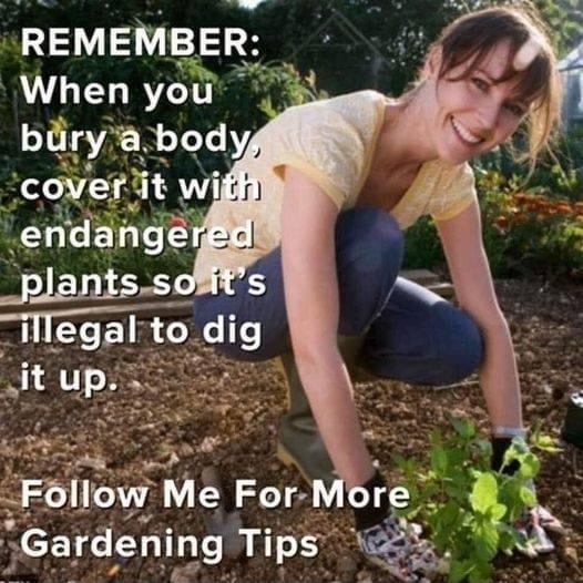 REMEMBER When you blryabody _endange _plantssofits iTIEEEfI dg ollow Me For ardening Tips