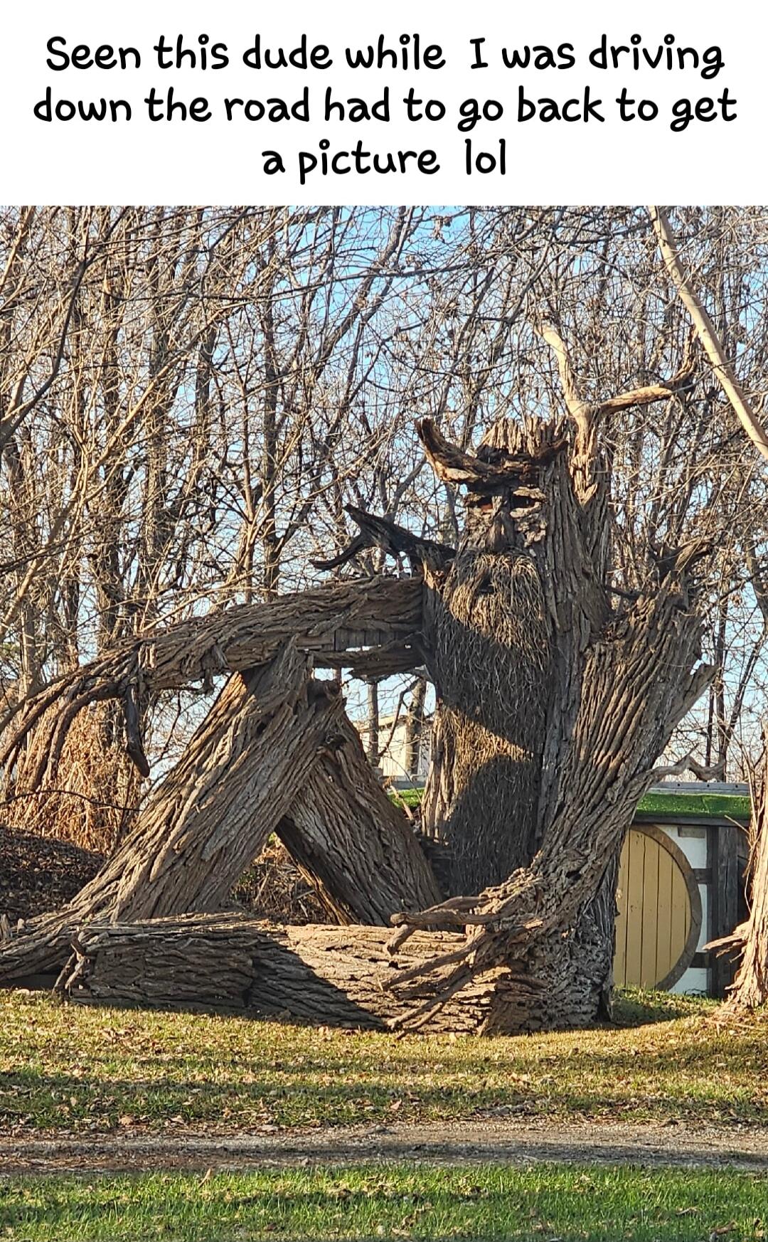 Seen this dude while I was driving down the road had to go back to get a picture lol S