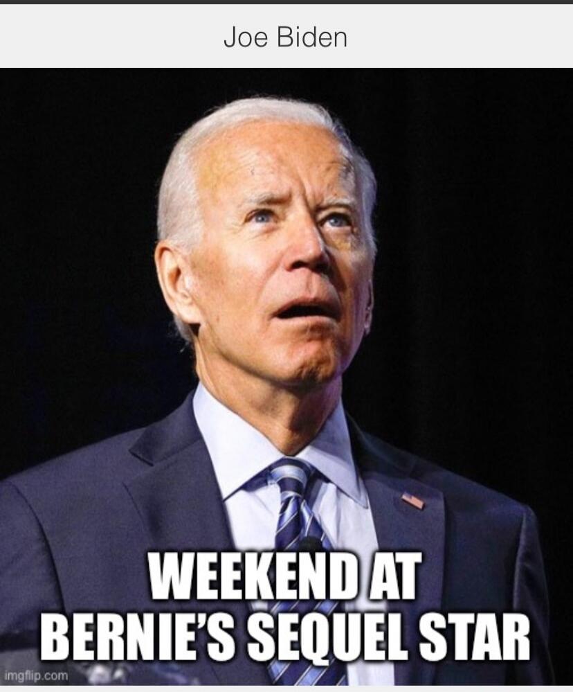 Joe Biden WEEKEND AT BERNIE'S SEQUEL STAR
