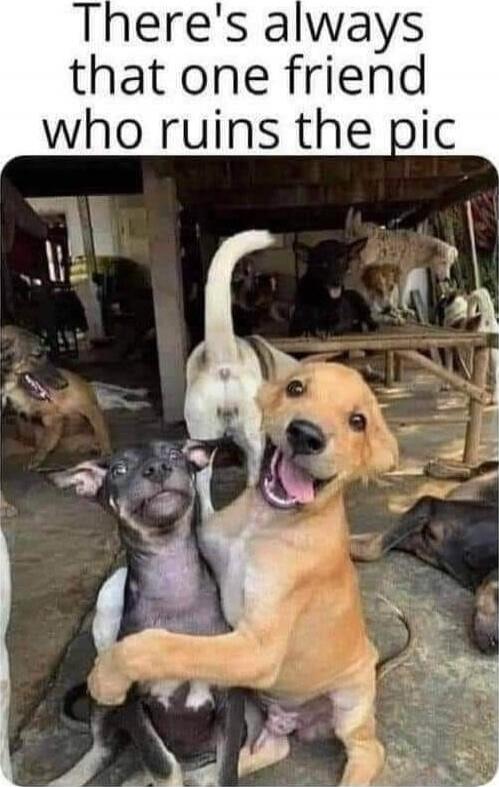 There's always that one friend who ruins the pic