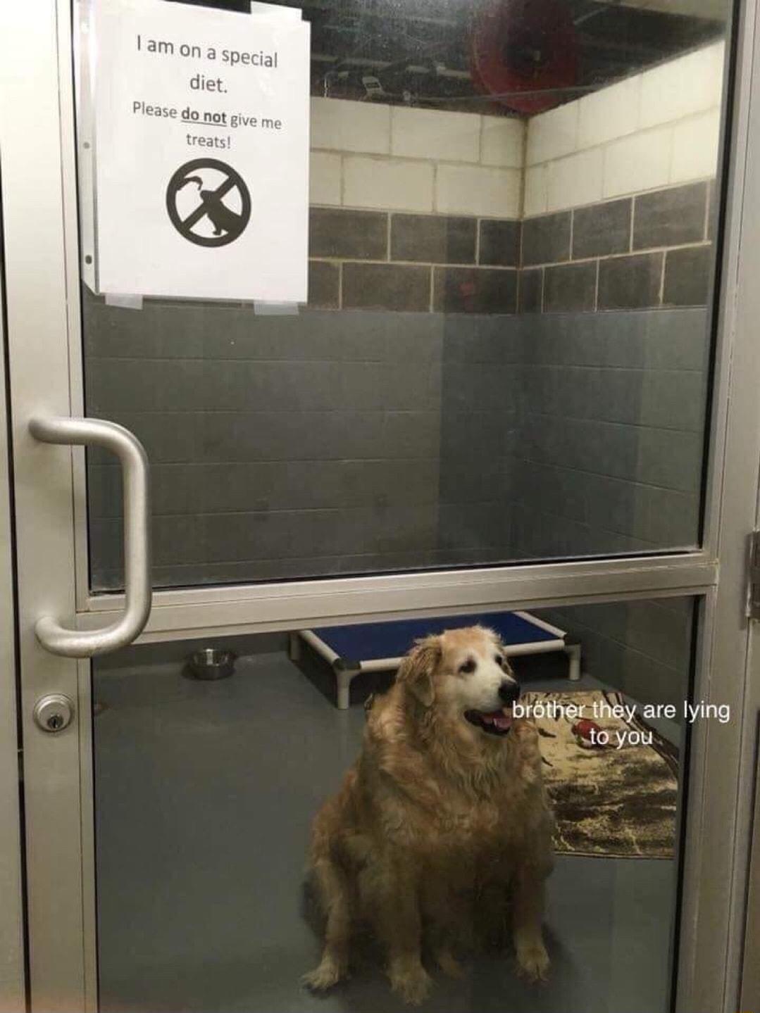 fl e i ol briherthey are lying 030U