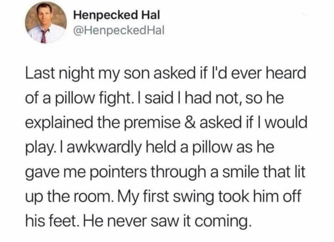 Henpecked Hal HenpeckedHal Last night my son asked if Id ever heard of a pillow fight said had not so he explained the premise asked if would play awkwardly held a pillow as he gave me pointers through a smile that lit up the room My first swing took him off his feet He never saw it coming