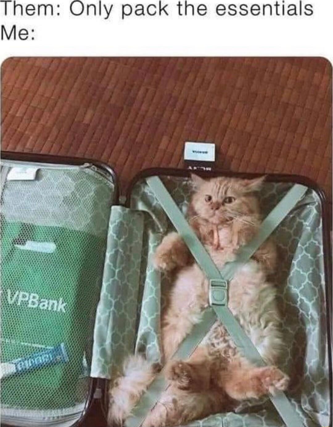 em Only pack the essentials
