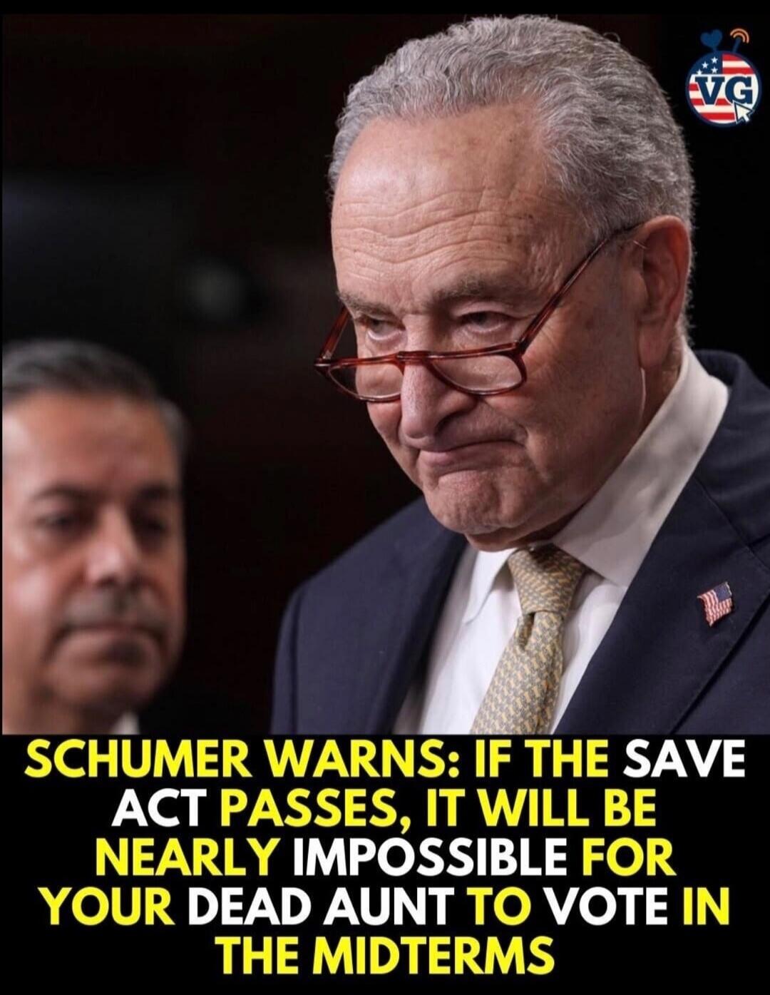 SCHUMER WARNS: IF THE SAVE ACT PASSES, IT WILL BE NEARLY IMPOSSIBLE FOR YOUR DEAD AUNT TO VOTE IN THE MIDTERMS
