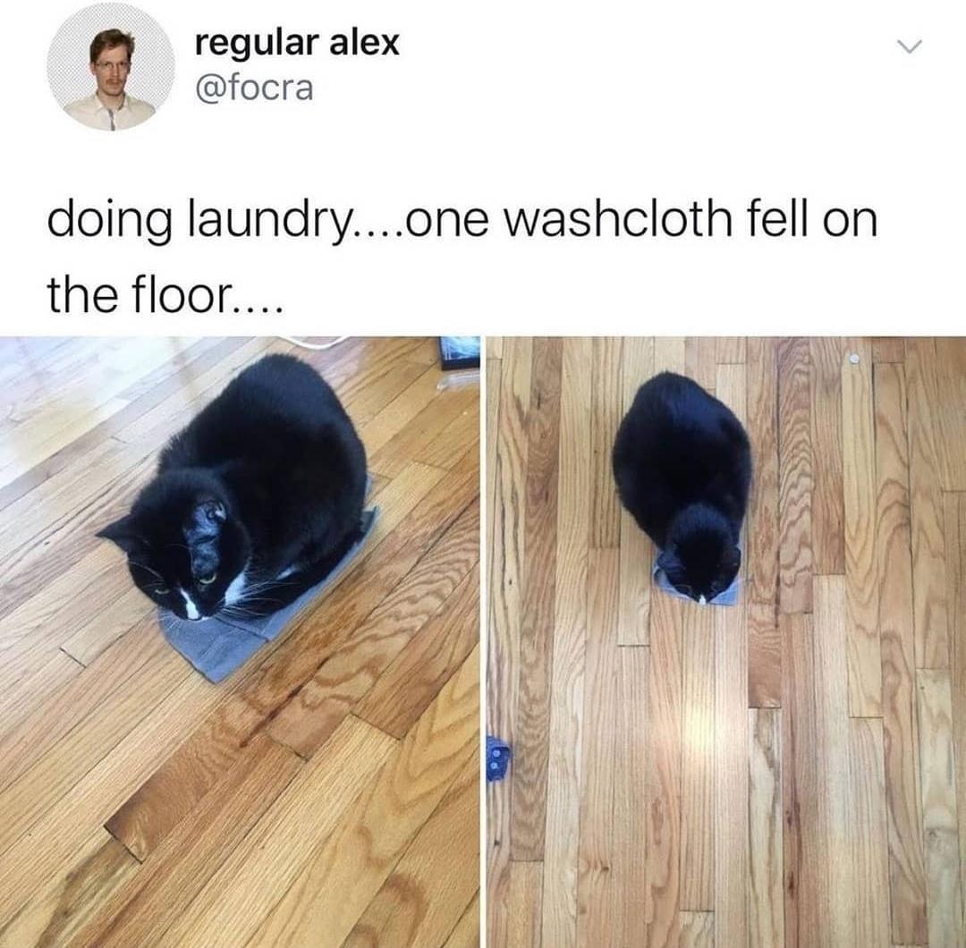 regular alex g focra doing laundryone washcloth fell on the floor 2 s o