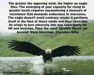 The greater the opposing wind, the higher an eagle flies. The enlarging of your capacity for rising to greater levels requires encountering a measure of resistance that demands endurance to overcome. The eagle doesn't avoid contrary winds; it positions itself in the face of those winds and then stretches its wings to turn adversity into and opportu