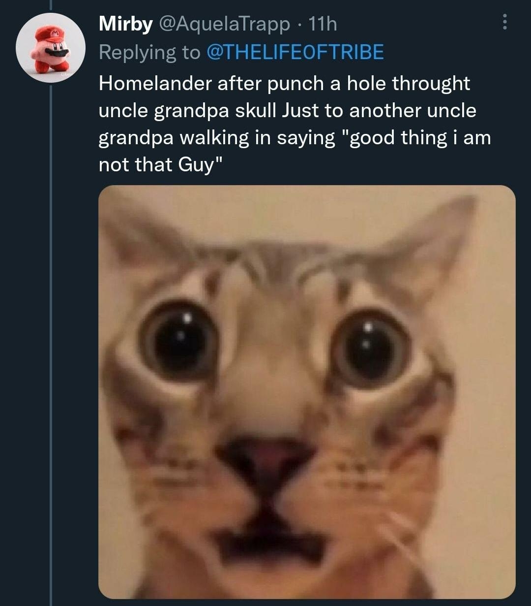 e Mirby AquelaTrapp 11h Replying to THELIFEOFTRIBE Homelander after punch a hole throught uncle grandpa skull Just to another uncle grandpa walking in saying good thing i am not that Guy 2 38 98