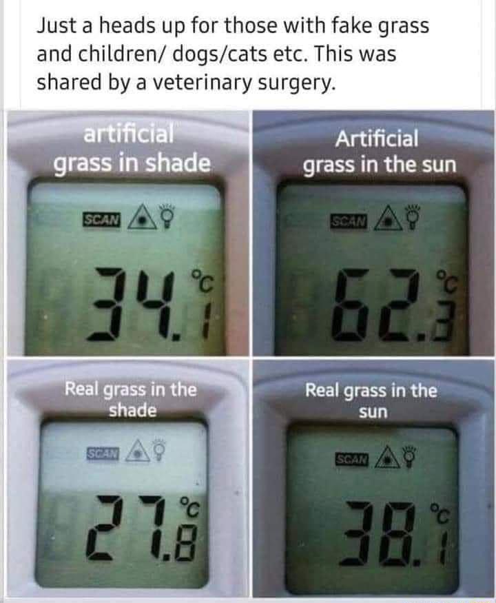 Just a heads up for those with fake grass and children dogscats etc This was shared by a veterinary surgery Artificial grass in the sun Real grass in the sun