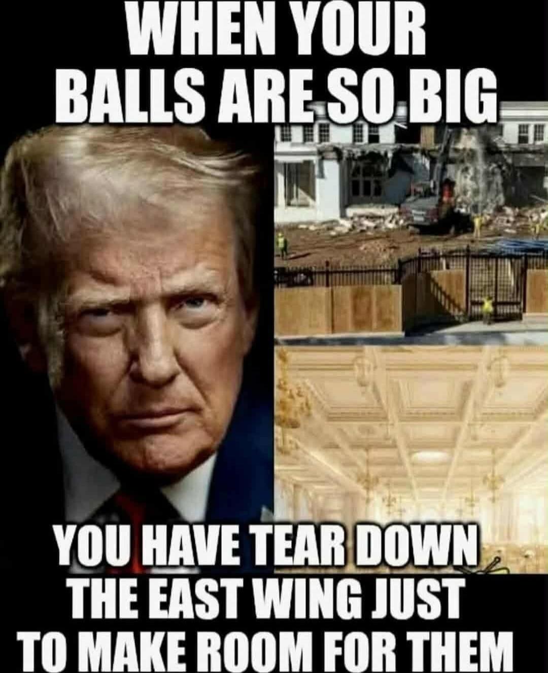 WHEN YOUR BALLS ARE SO BIG YOU HAVE TEAR DOWN THE EAST WING JUST TO MAKE ROOM FOR THEM