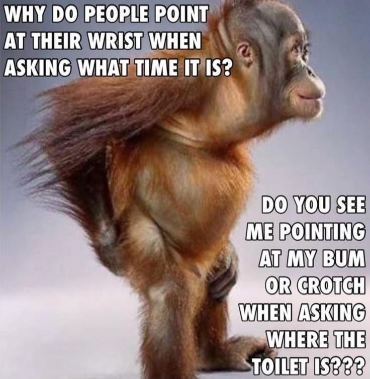 WHY DO PEOPLE POINT AT THEIR WRIST WHEN ASKING WHAT TIME IT IS? DO YOU SEE ME POINTING AT MY BUM OR CROTCH WHEN ASKING WHERE THE TOILET IS???