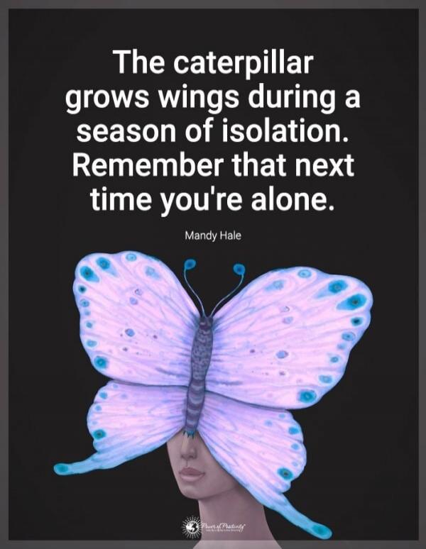 The caterpillar grows wings during a season of isolation. Remember that next time you're alone.
