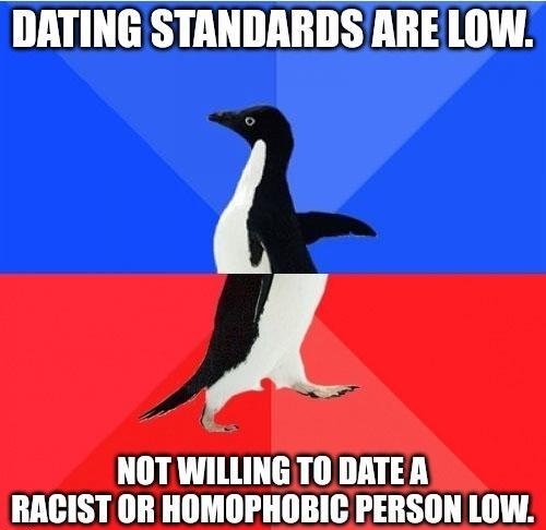 DATING STANDARDS ARELOW A NOT WILLING TO DATE A RACIST OR HOMOPHOBIC PERSON LOW