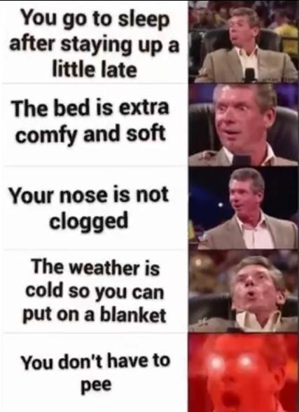 You go to sleep after staying up a little late The bed is extra comfy and soft Your nose is not clogged The weather is cold so you can put on a blanket You dont have to