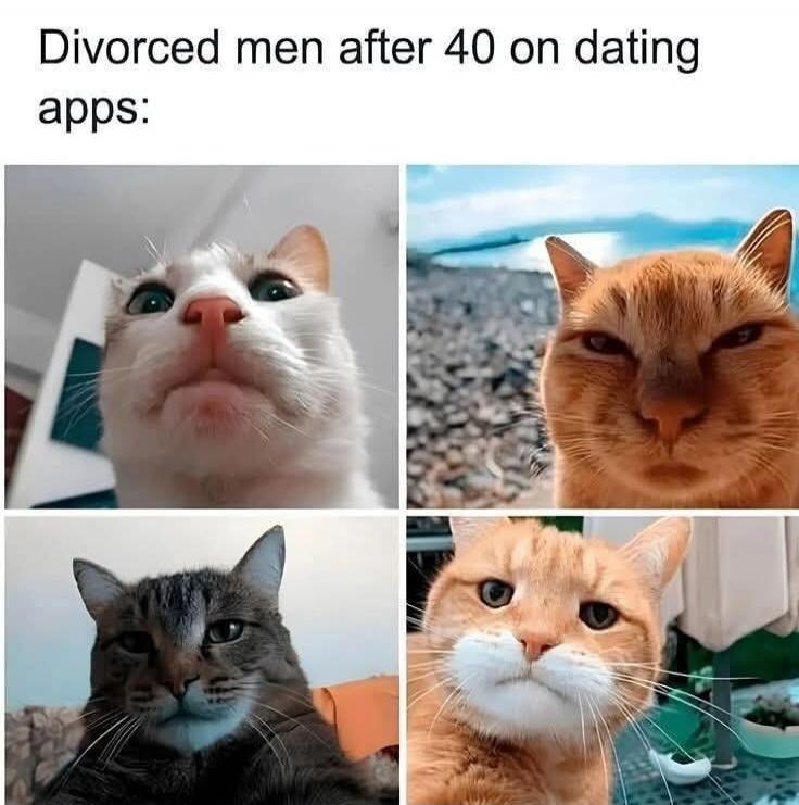 Divorced men after 40 on dating apps: