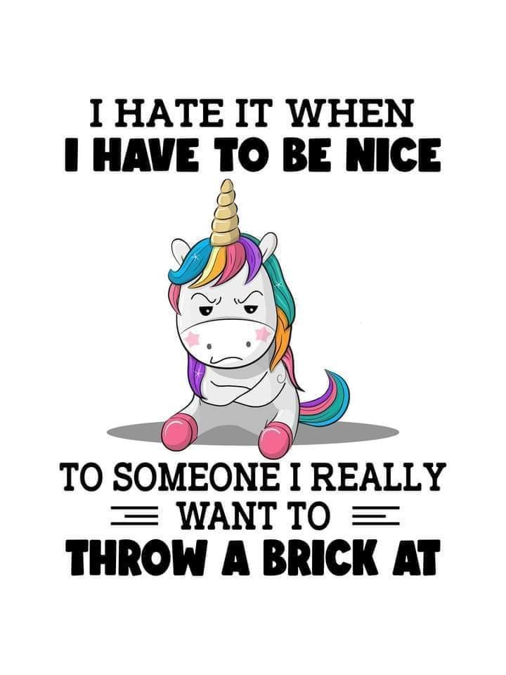 I HATE IT WHEN 1 HAVE IO BE NICE TO SOMEONE I REALLY WANTTO THROW A BRICK AT