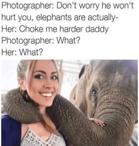 Photographer: Don't worry he won't hurt you, elephants are actually- Her: Choke me harder daddy Photographer: What? Her: What?
