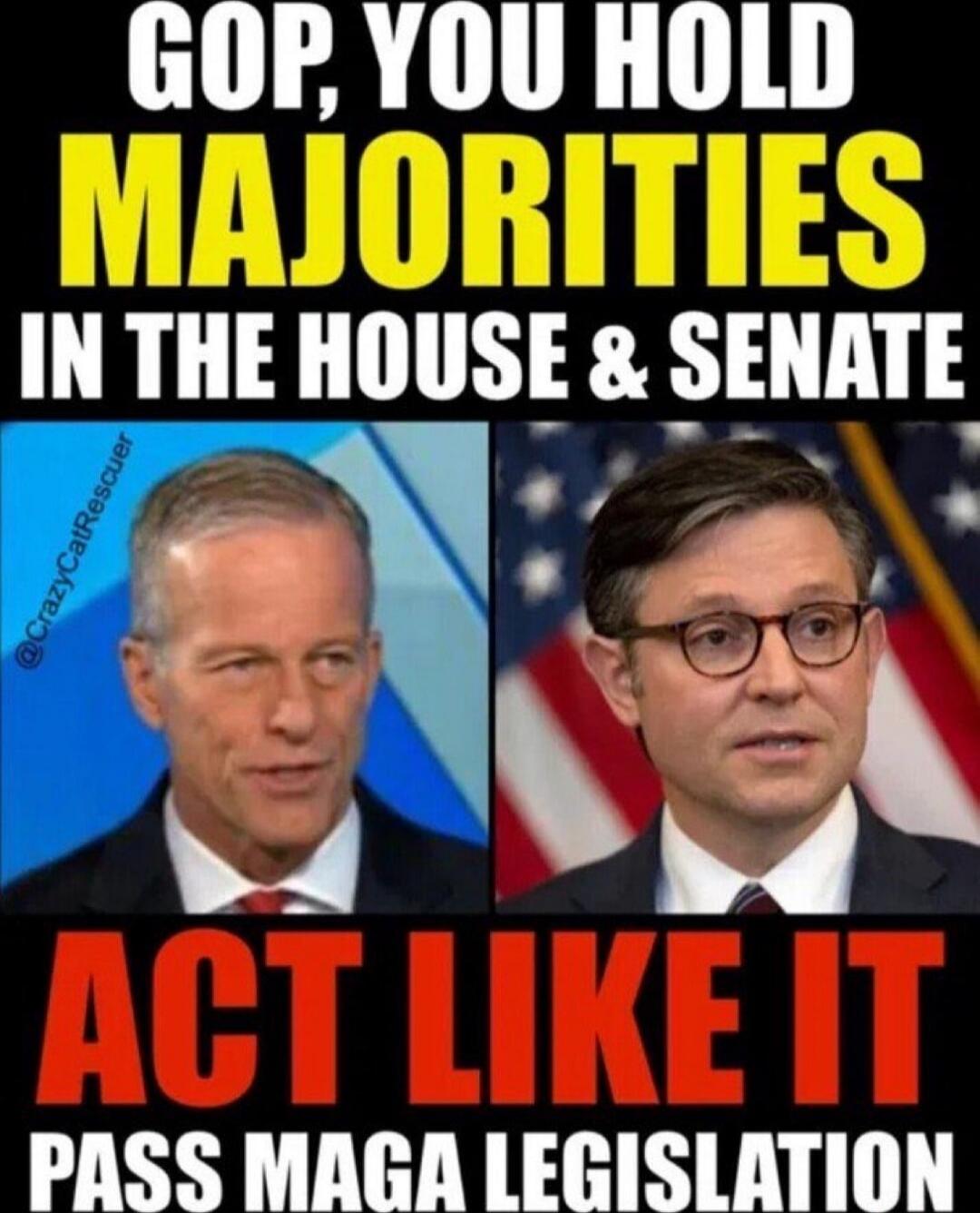 GOP, YOU HOLD MAJORITY IN THE HOUSE & SENATE
ACT LIKE IT
PASS MAGA LEGISLATION