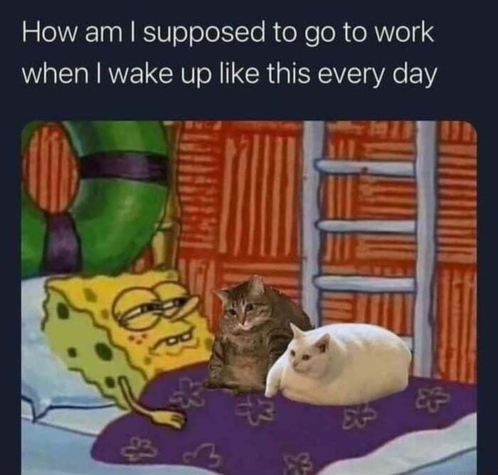 How am supposed to go to work when wake up like this every day